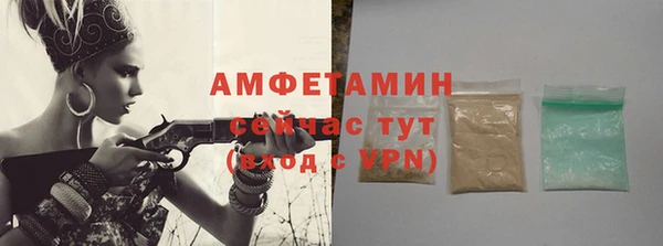 молекула духа Лабытнанги