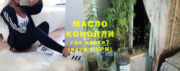 молекула духа Лабытнанги
