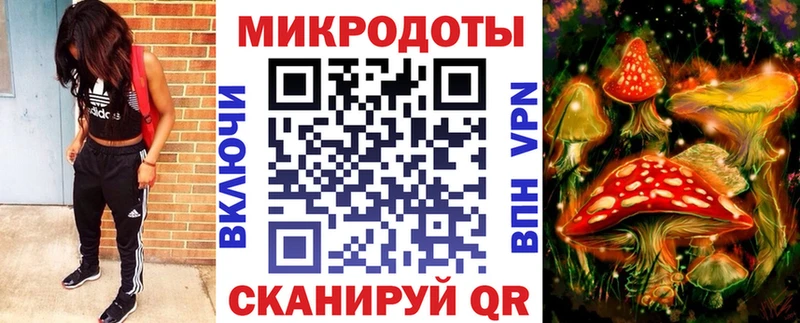 Галлюциногенные грибы Magic Shrooms  Купить где  Дедовск 